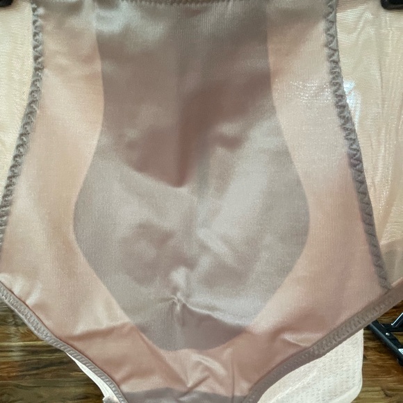 Ruby Ribbon Sheer Briefs - Picture 4 of 5